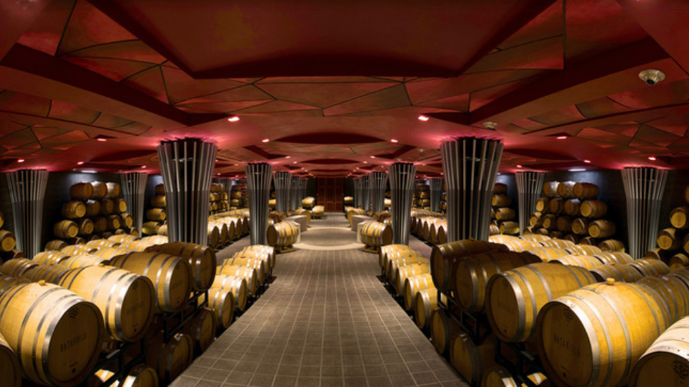 Batasiolo: the iconic strength of the Langhe