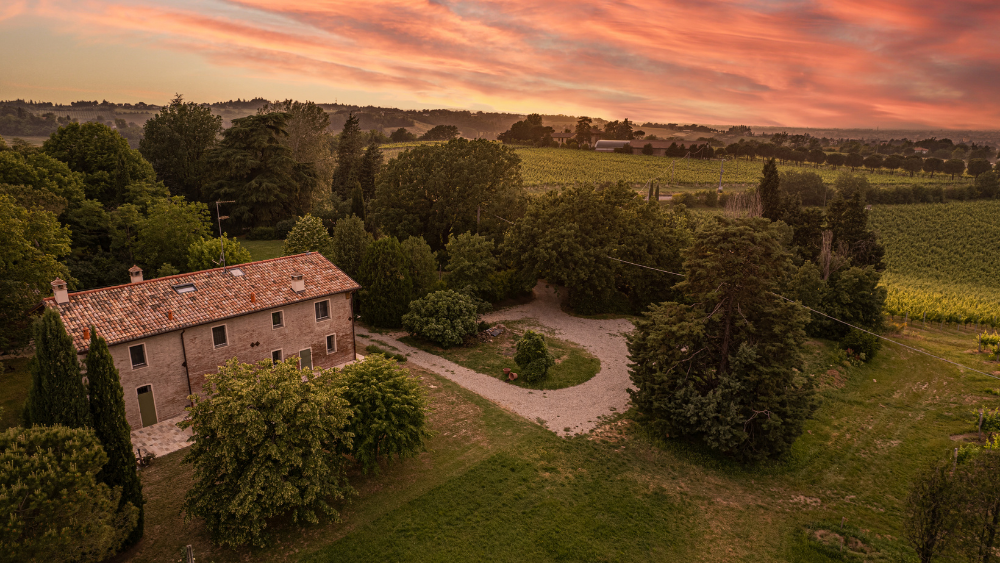 Poletti Winery: Evolving Tradition