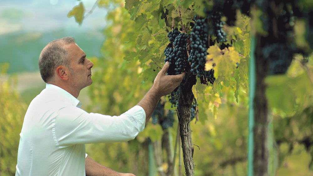 Claudio Cipressi: The Authentic Identity of Molise
